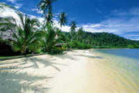 the beach